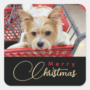 Merry Christmas Puppy Photo Shopping Cart  Square Sticker