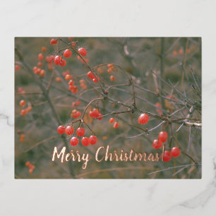 Merry Christmas Red Berries Festive Nature Photo Foil Holiday Postcard