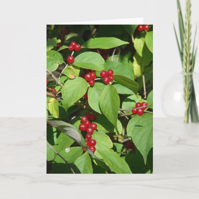 Merry Christmas Red Berries Holiday Card (Front)