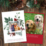 Merry Christmas Red Cardinal 2 Photo Holiday Card<br><div class="desc">Beautiful and modern family holiday greeting card featuring your photo framed by a nature-inspired watercolor of a red cardinal and seasonal winter foliage. You can personalise your Christmas greeting, as well as your family names and the year in simple red typography. On the back, add an additional photo and a...</div>