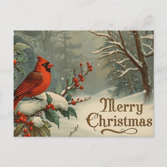 Merry Christmas Red Cardinal and Winter Berries  Holiday Postcard (Front)