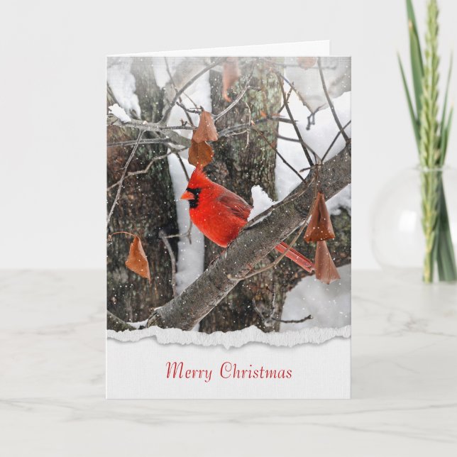 Merry Christmas red cardinal on branch Card (Front)