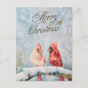 Merry Christmas Red Cardinals in the Snow  Holiday Postcard