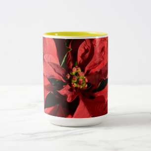 Merry Christmas Red Curly Poinsettia Two-Tone Coffee Mug