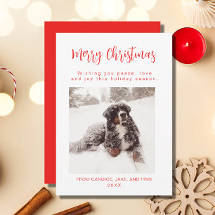 Merry Christmas Red Dog Photo Holiday Card