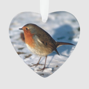 Merry Christmas Robin in the Snow Ornament