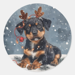 Merry Christmas Rottweiler Dog Reindeer Classic Round Sticker