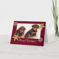 Merry Christmas Rottweiler puppies