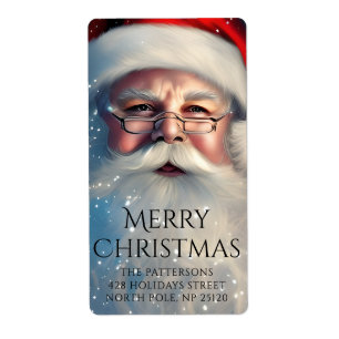 Merry Christmas Santa Festive Winter Holidays