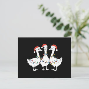 Merry Christmas Santa Hat Ducks Holiday Xmas Duck Postcard