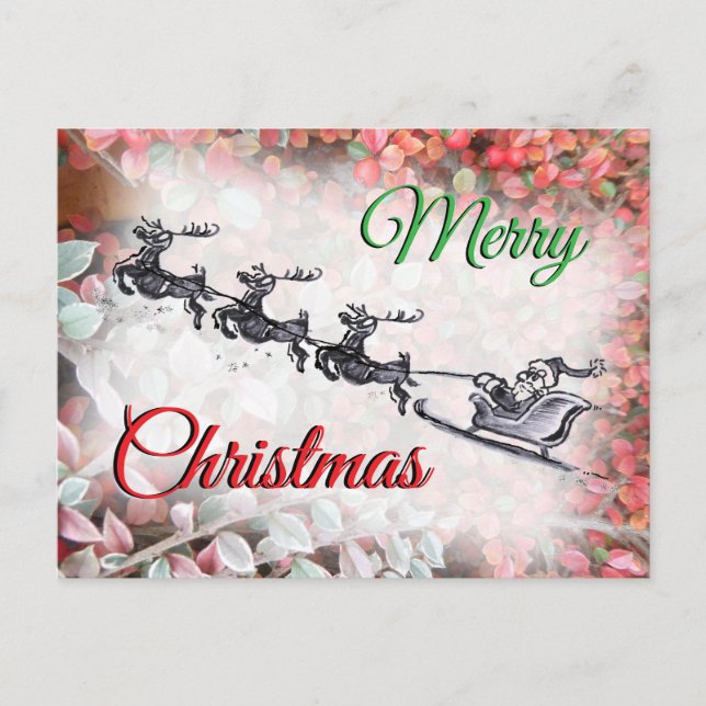 Merry Christmas Santa Red Green Postcard (Front)