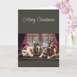 Merry Christmas Season to be Jolly Dogs Card