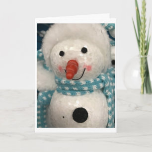 MERRY CHRISTMAS & SEASONS GREETINGS HAPPY HOLIDAYS HOLIDAY CARD