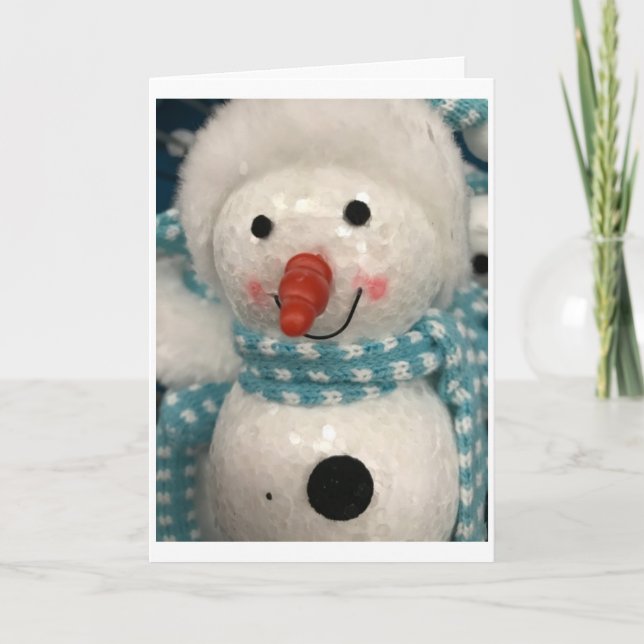 MERRY CHRISTMAS & SEASONS GREETINGS HAPPY HOLIDAYS HOLIDAY CARD (Front)