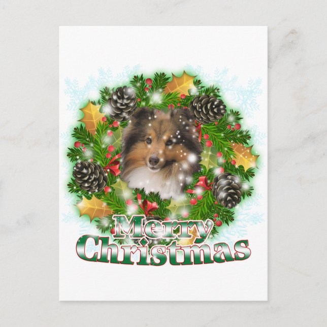 Merry Christmas Sheltie Holiday Postcard (Front)