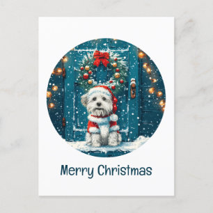 Merry Christmas Shih Tzu Dogs Postcard