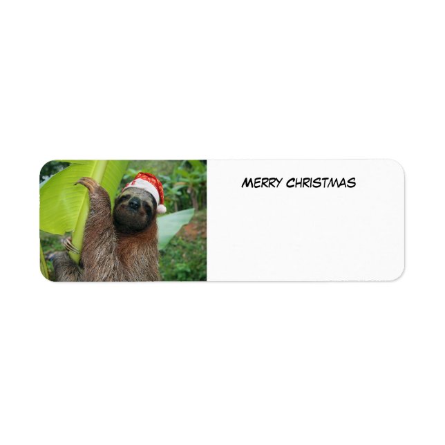 Merry Christmas Sloth (Front)