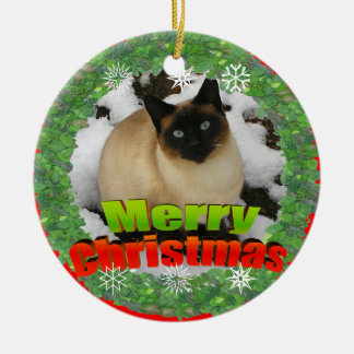 Merry Christmas Snow Cat Photo Frame Ornament