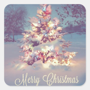 Merry Christmas Snow Covered Tree Square Sticker