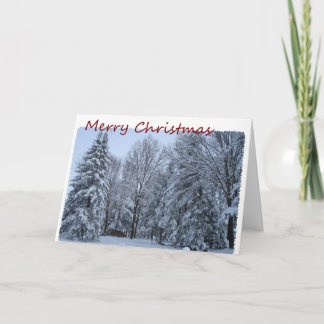 Merry Christmas, Snow In Trees Holiday Card