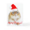 Merry Christmas Snowy Santa Chipmunk