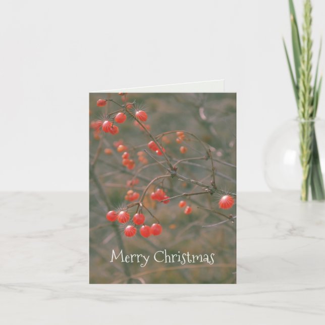 Merry Christmas Sparkling Red Berries Nature Photo Holiday Card (Front)