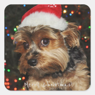 Merry Christmas Square Sticker