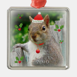 Merry Christmas Squirrel 2010 Metal Tree Decoration