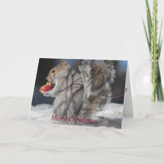 Merry Christmas Squirrel Apple Greeting Card