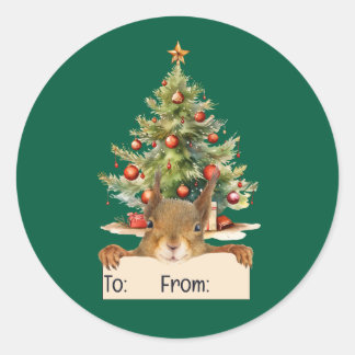 Merry Christmas Squirrel Christmas Tree To From Classic Round Sticker