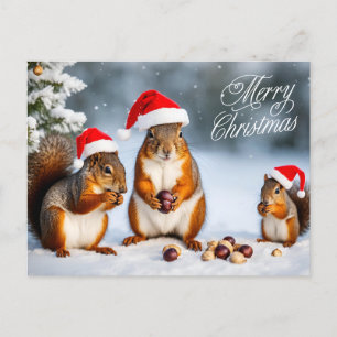 Merry Christmas Squirrel Family in Santa Hats Postcard
