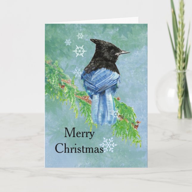 Merry Christmas Stellar Jay Bird Scripture Art Holiday Card (Front)