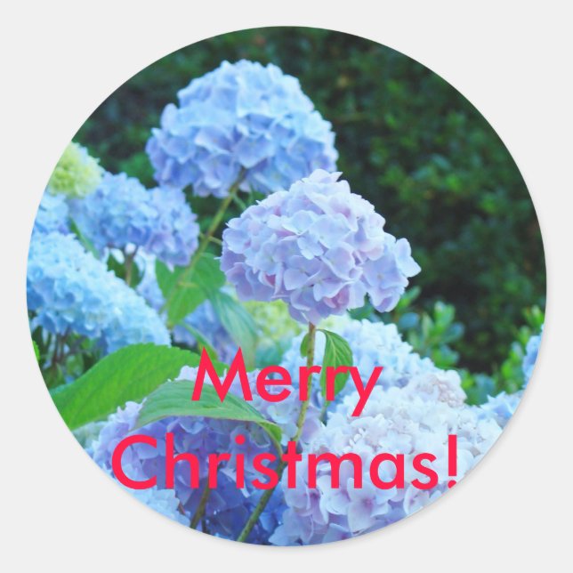 Merry Christmas! stickers Blue Lavender Hydrangeas (Front)
