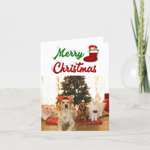 Merry Christmas Stocking photo red green script Holiday Card