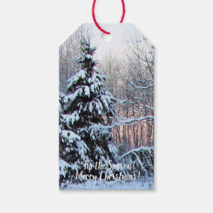 Merry Christmas! 'Tis the Season!' Gift Tags