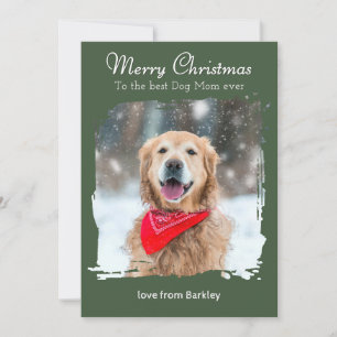 Merry Christmas to the Best Dog Mom Custom Photo Holiday Card