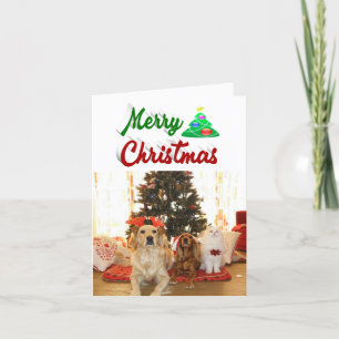 Merry Christmas Tree photo red green script Holiday Card