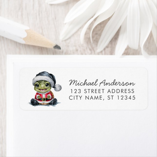 Merry Christmas Turtle in Santa Hat Return Address (Insitu)