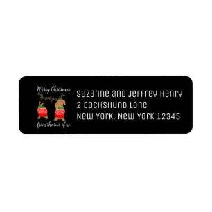 Merry Christmas Two Decked Out Dachshunds Holiday