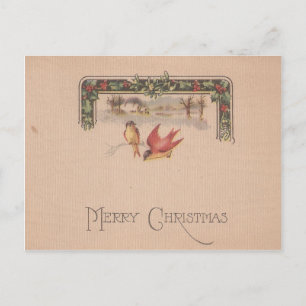 Merry Christmas Vintage Birds Holiday Postcard