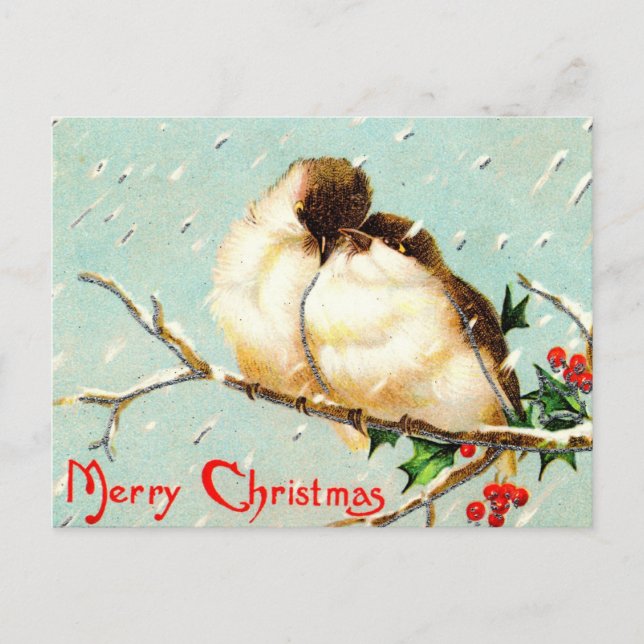 Merry Christmas Vintage Birds Postcard (Front)