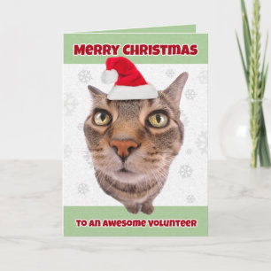 Merry Christmas Volunteer Cat in Santa Hat Humour Holiday Card