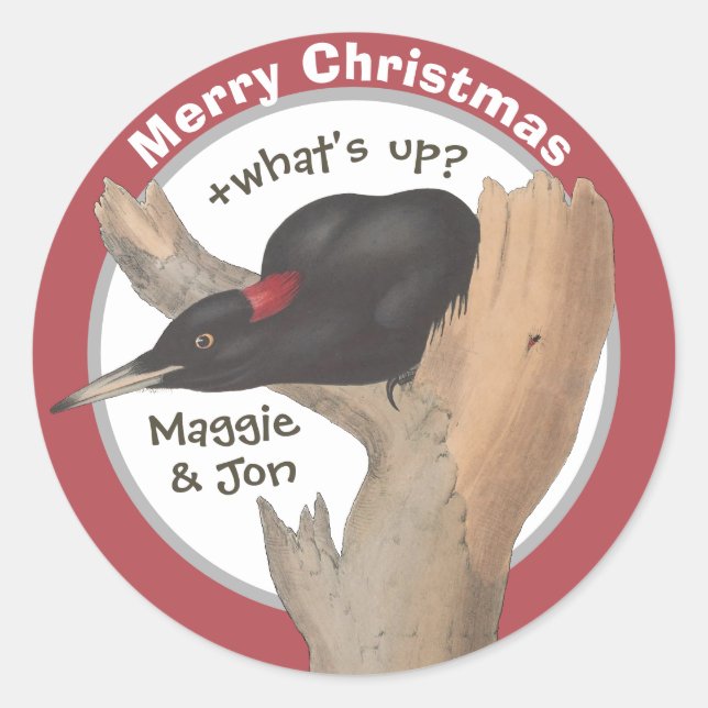 Merry Christmas +what's up? John Gould woodpecker Classic Round Sticker (Front)