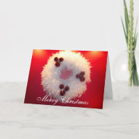 Merry Christmas White Feather Wreath Fancy Elegant