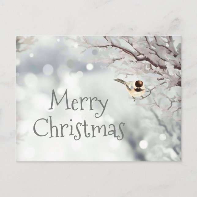 Merry Christmas Winter Frost Bird Holiday Postcard (Front)