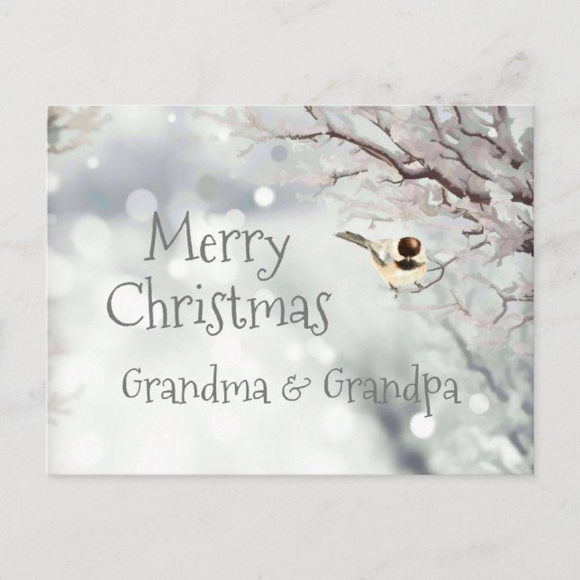 Merry Christmas Winter Frost Bird Holiday Postcard (Front)