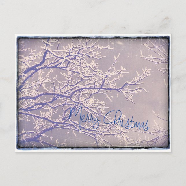 Merry Christmas Winter Tree Branches Holiday Postcard (Front)