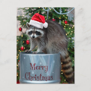 Merry Christmas With Racoon Santa Scene Holiday Postcard