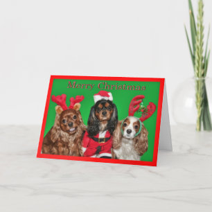 Merry Christmas With Three King Charles Spaniels Holiday Card