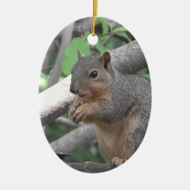 Merry Christmas ya nut Funny Squirrel Ceramic Tree Decoration (Front)